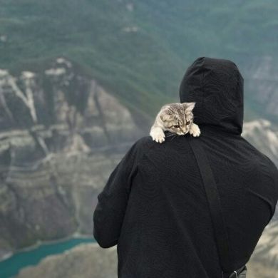 asad siddiq Profile Picture