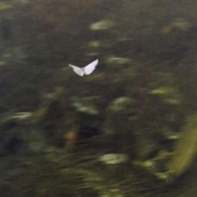 ف ف Profile Picture