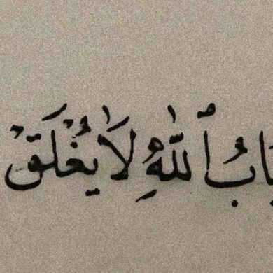 kuki seid Profile Picture