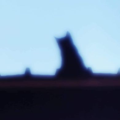 مروان حميد Profile Picture