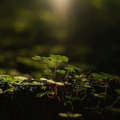 Natalia Volk Profile Picture