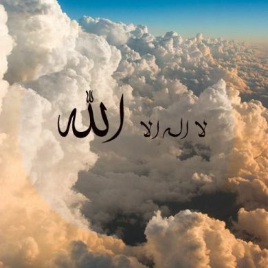 ذو الجناح الشمالي Profile Picture