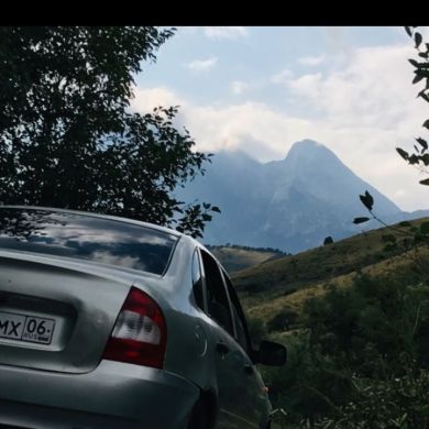 Sel Esm Profile Picture