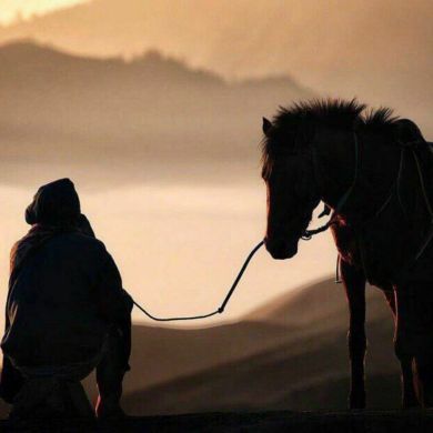 Khuzayfa Profile Picture