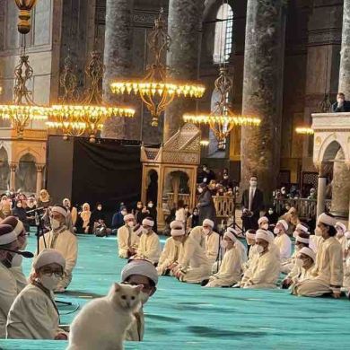 davroon Profile Picture