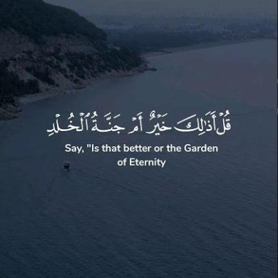 Mohamed nabil Profile Picture