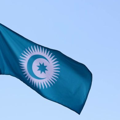 Temur Malik Profile Picture