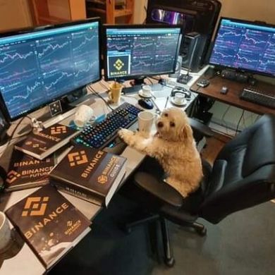 عالم الربح للمبتدئين Profile Picture