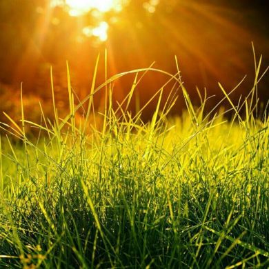 Ibrahim mekonen Profile Picture