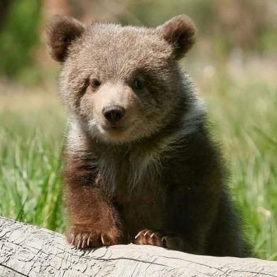 Nazir Profile Picture