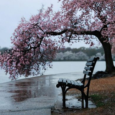 Soliha Obidjon Profile Picture