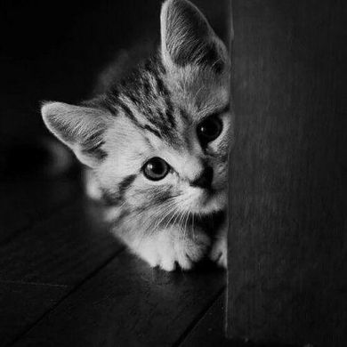 actionSdepenDoNintentionS