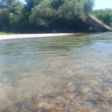 alen abisal Profile Picture