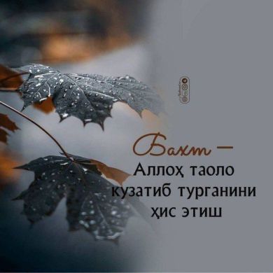 umma1709665948 Profile Picture