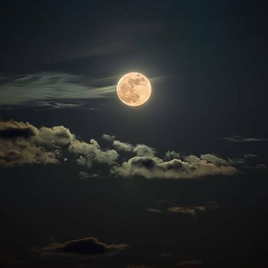 Mohamed Nasr Profile Picture