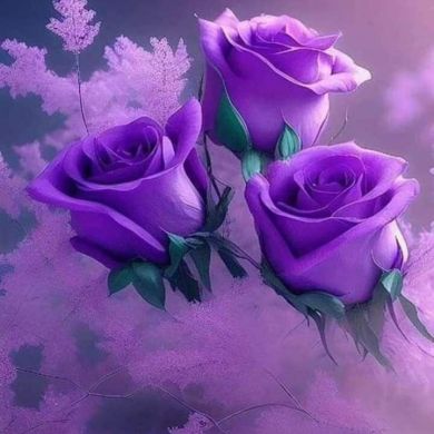 አትካው ኒቃቤን የሂዉቴን መብራት