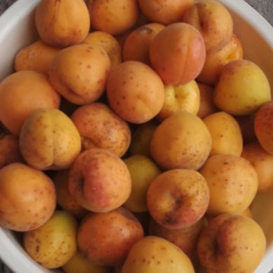 umma1720174756 Profile Picture