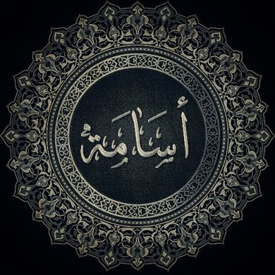 O554M4 Profile Picture