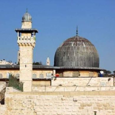 Sardor Bek Profile Picture