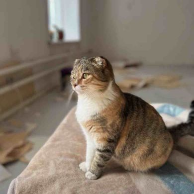 Марьям Туранова