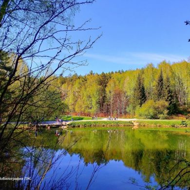 Фотографии природы. profile picture