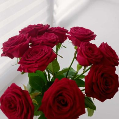 Amina Urazaeva Profile Picture