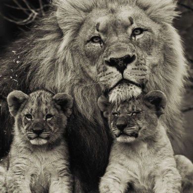 Ummu Zubayr Profile Picture