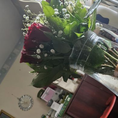 Saira Sultan Profile Picture