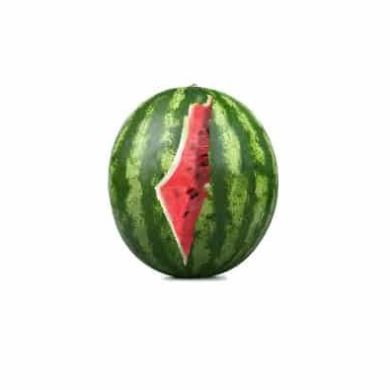 AʼZAMJON Xatamov Profile Picture