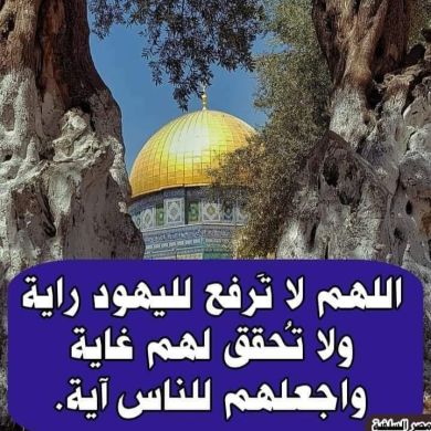 صفاء محمود خادمة القرءان