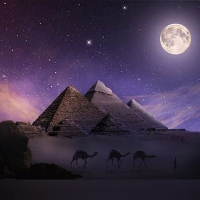 muvahhid vecno Profile Picture