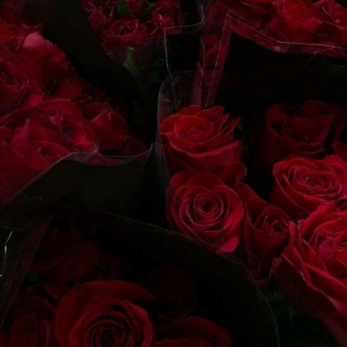 Salima muslimka Profile Picture