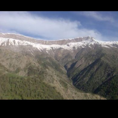 Homid Mullojonov Profile Picture