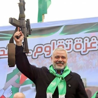 eltahawy515 Profile Picture