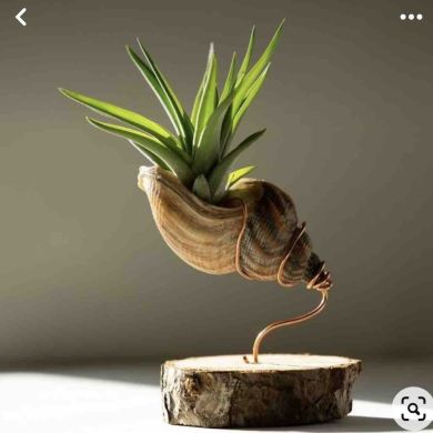 Mr. Dr. Profile Picture