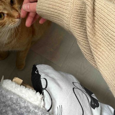 ирина черемисинова