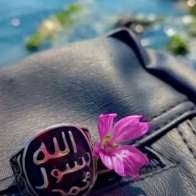 Muslimah Sunnyah Profile Picture