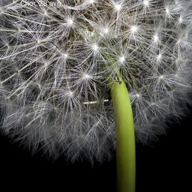 Sabina Muzaffarovna profile picture