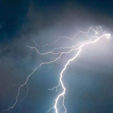 Zee Ch Profile Picture