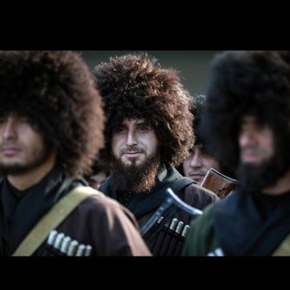 Telegram: Contact @Chornie_papahi