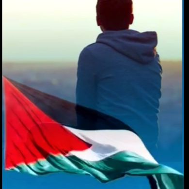 محمد العفرى١ Profile Picture