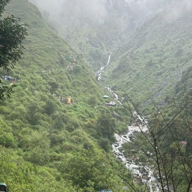 roohi fatima Profile Picture