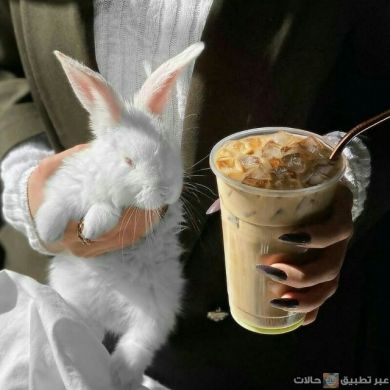 goldya Profile Picture