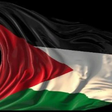 Khalid Jami profile picture