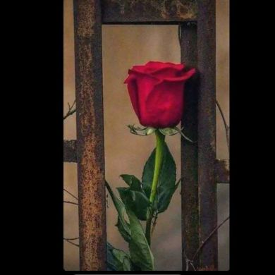 Yer va Samo Dunyo va