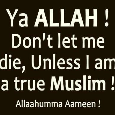 Ahmed Ali Profile Picture