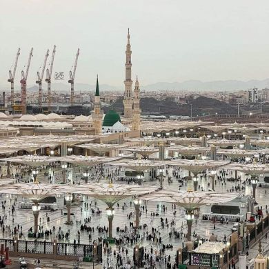 nabaani dambalu Profile Picture