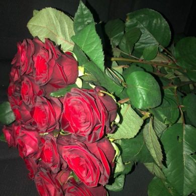 Solijonova Diyoraxon