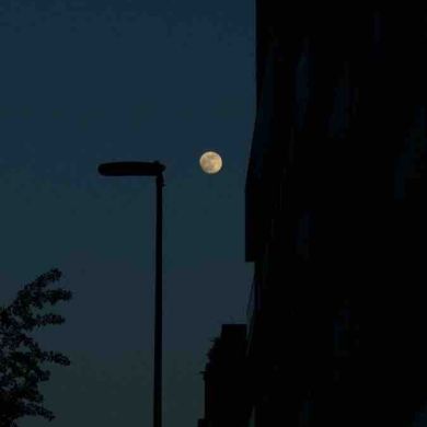 asad_khusanbayev Profile Picture