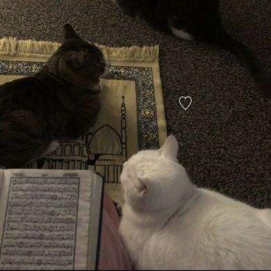 رغد الفيتوري